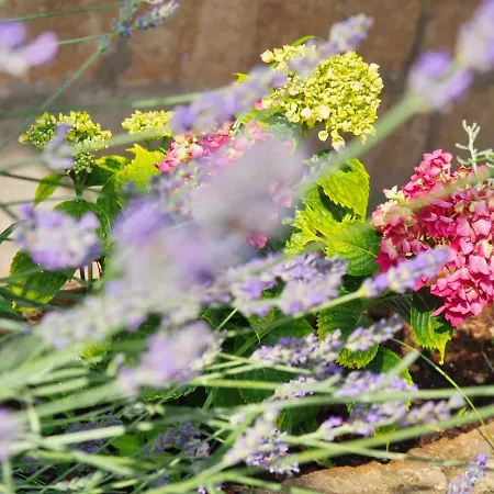 아파트 Kameo With Terrace *