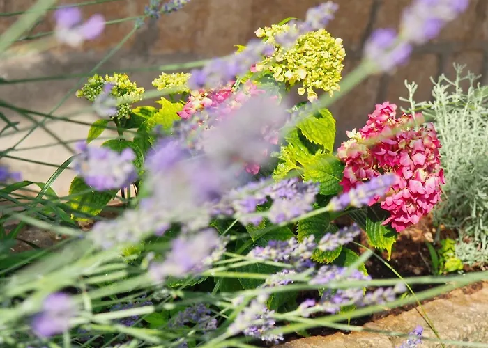 Appartement Kameo With Terrace *